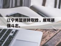 九城游戏中心官网-辽宁男篮逆转取胜，展现顽强斗志。