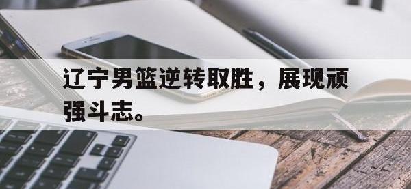 九城游戏中心官网-辽宁男篮逆转取胜，展现顽强斗志。