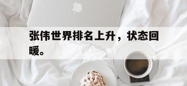 九游游戏中心网页版-张伟世界排名上升，状态回暖。