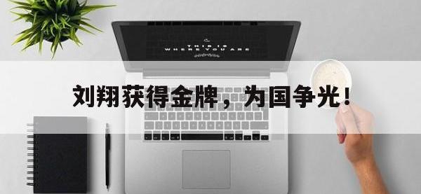 九城游戏中心官网-刘翔获得金牌，为国争光！