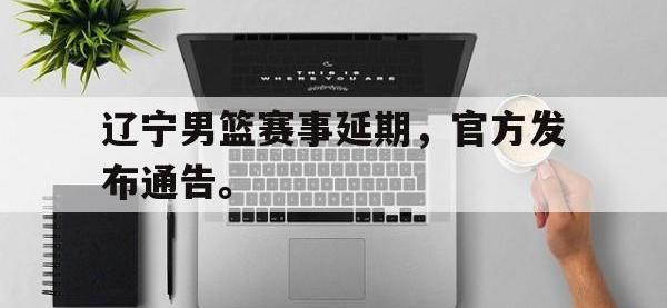 九游游戏中心网页版-辽宁男篮赛事延期，官方发布通告。