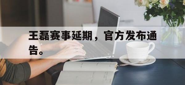 九城游戏中心官网-王磊赛事延期，官方发布通告。