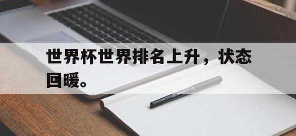 九游游戏中心网页版-世界杯世界排名上升，状态回暖。