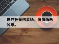 世界杯受伤离场，伤情尚未公布。