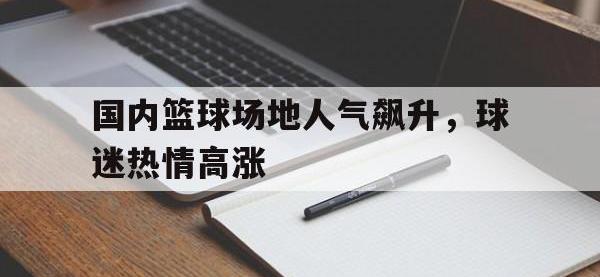 九城游戏中心官网-国内篮球场地人气飙升，球迷热情高涨