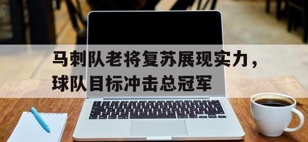 九城游戏中心官网-马刺队老将复苏展现实力，球队目标冲击总冠军