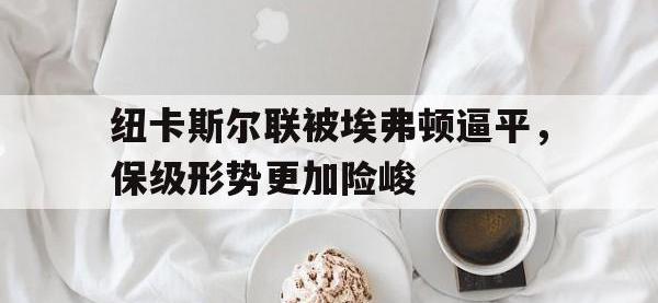 九城游戏中心官网-纽卡斯尔联被埃弗顿逼平，保级形势更加险峻