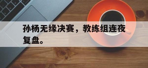 九城游戏中心官网-孙杨无缘决赛，教练组连夜复盘。