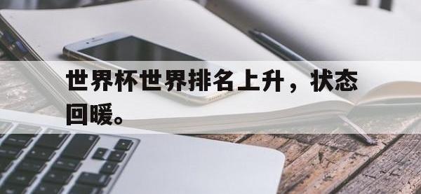 九城游戏中心官网-世界杯世界排名上升，状态回暖。