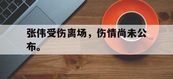 九城游戏中心官网-张伟受伤离场，伤情尚未公布。