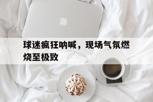 球迷疯狂呐喊，现场气氛燃烧至极致